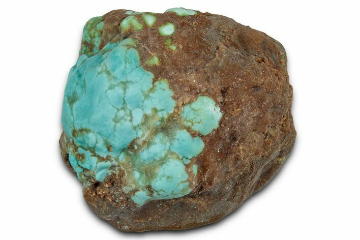 Tumbled Turquoise Specimen - Number Mine, Carlin, NV #331219